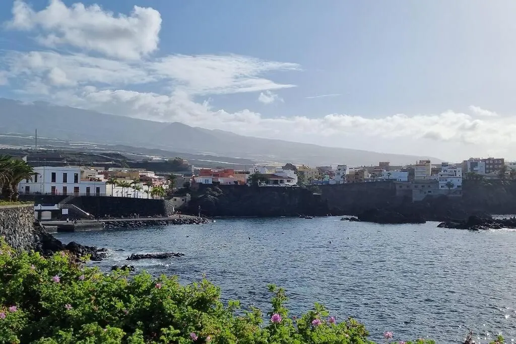 Lejlighed Appartement Calme A 200 M De La Mer Avec Ascenseur Alcalá la Real